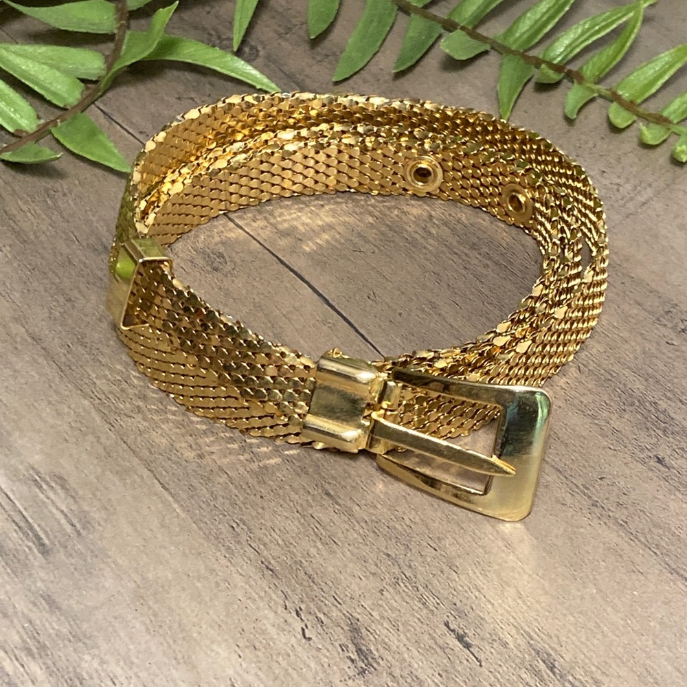 Vintage Retro Glam Serpent Scale Gold Mesh Belt